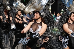 Desfile "Desfile de las Flores Murcia 2016" 24
