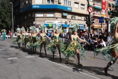 Desfile "Desfile de las Flores Murcia 2016" 29